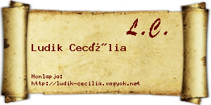 Ludik Cecília névjegykártya